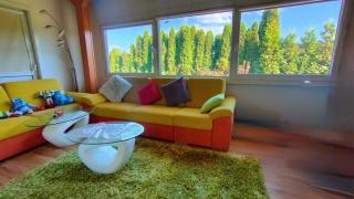 Pool cottage retreat near Prague by Aura Luxury Collection - Teplice - 4