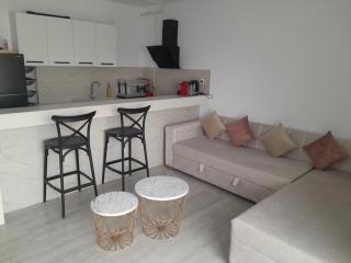 Luxueux appartement meublé bien équipé avec accès piscine et salle de sport - Nabeul - 6