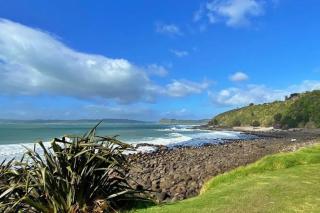 The Dream Whale Bay - Raglan - 6