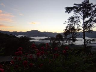 RECANTO DO LEÃO - Alagoa - 8