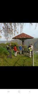 Holzfeld - Boppard - 4