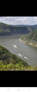 Holzfeld - Boppard - 3