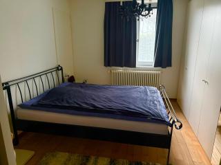 Haus zu vermieten über den ESC Event in Basel - 3