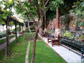 Paraje el Serbal - Benatae - 8