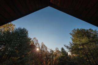 Stay Near Old Rag/White Oak Falls - Cozy Log Cabin - 6