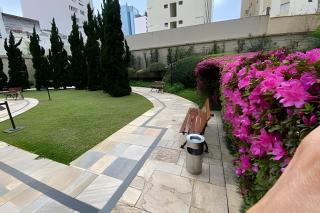 Add Flat Pinheiros - São Paulo - 2