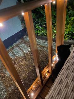 THE LOG CABIN no neighbours sleeps up to 5 people Free parking Bfst drinks PET FRIENDLY - 3