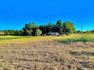 Farm Living Is The Life For Me - Placerville - 3