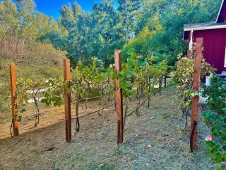 Farm Living Is The Life For Me - Placerville - 8