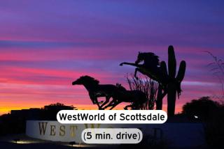 Modern2BR Pickle&Basketball Ct,Pool,BBQ&Pet Frndly - Scottsdale - 7