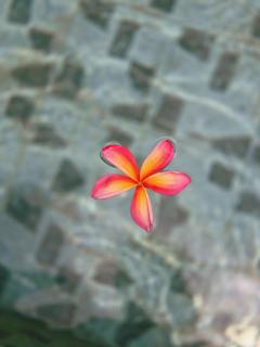 deep mountain view - 2