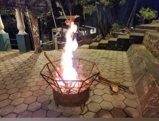 The Den by Trees - Kotagiri - 8