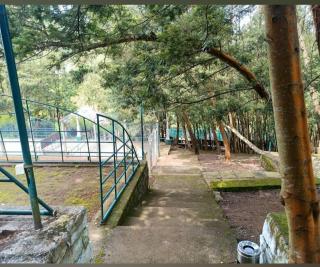 The Den by Trees - Kotagiri - 7
