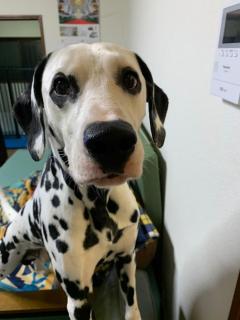 Haneda Base - Tokyo - 9