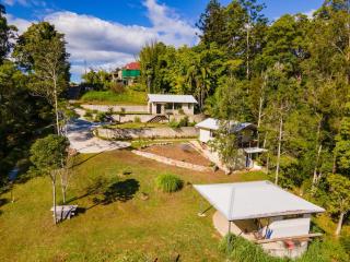 The cabin at the edge of town - Bellingen - 7