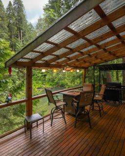 Chase's River Cabin - Hot-tub Firepit & Fireplace - Granite Falls - 5