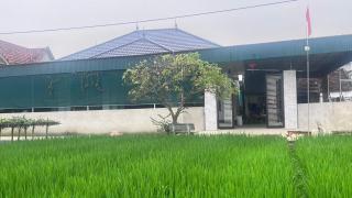 Home stay paddy field - - 8