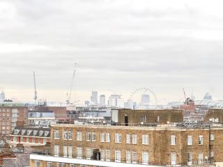 Amazing London View Apartment London - Londra - 4