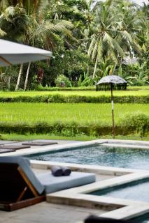 Villa Jepun - Ubud - 5