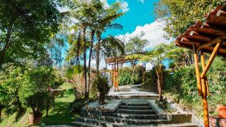 Oru Forest Retreat & Eco Lodge, just 15 minutes from the airport - 5