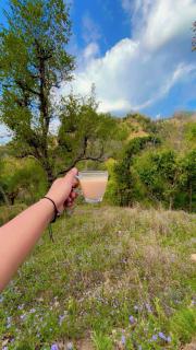 Rummy Dummy homestay & farms - Shivpuri - 6