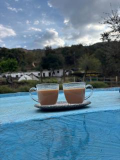 Rummy Dummy homestay & farms - Shivpuri - 7