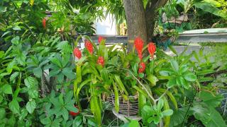 SCO Lodge - Punaauia - 7
