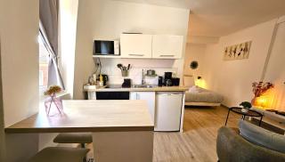 Studio- Hyper Centre Ville - Colmar - 2