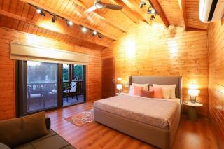 ELIVAAS Riveira Hills - 3 BHK Wooden Cottage with Lush Garden, Pvt Pool - Alwar - 8
