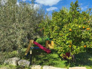 Agriturismo Fondo Paliemmu - Modica - 9