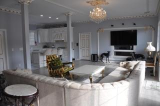 VIP Mansion Estate - Blakeslee - 9