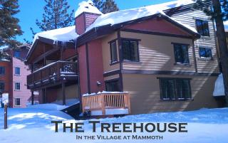 Village Treehouse #2 - Mammoth Lakes - 9