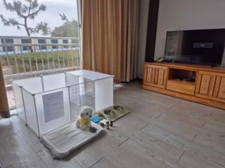 Kumgangsan Condo Sokcho - Goseong - 8