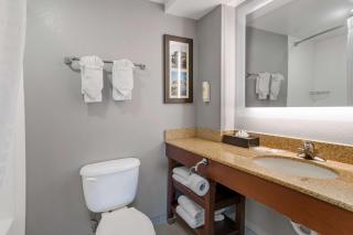Comfort Suites near Birkdale Village- Huntersville - Huntersville - 3