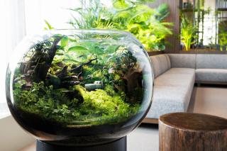 Hotel Hankyu GRAN RESPIRE OSAKA - 5