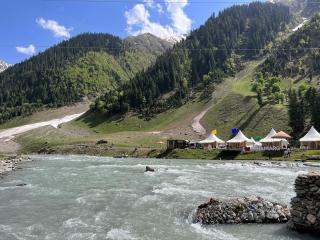 Sheenwoods Riverside Resort & Spa - 3