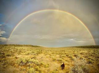 Cape Karoo Cottages - Montagu - Rietvlei Number 1 - 8