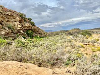 Cape Karoo Cottages - Montagu - Rietvlei Number 1 - 5