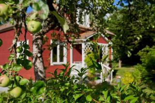 Red Haven Cottage - 5