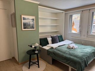 Feel Home Apartment 101 - Studio - 150 Meter zur Talstation Stockhütte - Emmetten - 9