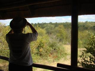 Muweti Bush Lodge - Grietjie Nature Reserve - 8