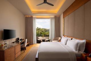 Grand Silver Ray - 3