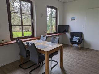Rotbuche - Rabenkirchen-Faulück - 4
