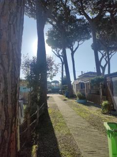 EDERA Parco Vacanze - Marina di Massa - 3
