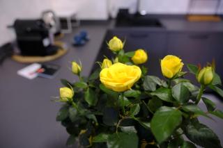 Stay&Go - Bilocale con Giardino - 5