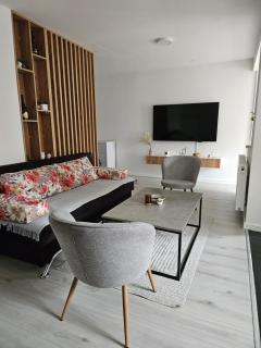 Apartman Aurora - Bijeljina - 4