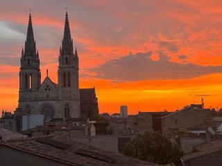 Belle Vue - Vue exceptionnel Chartrons 2 chambres avec parking - Bordeaux - 8