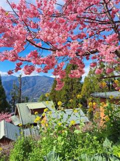 Yun Hsiang Zhan Chalet - 9