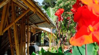 Bamboo Cottage Langkawi - Pantai Cenang - 7