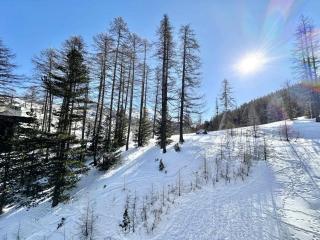 Résidence Le Forest - COCOON A LA MONTAGNE MAE-7911 - Vars - 3